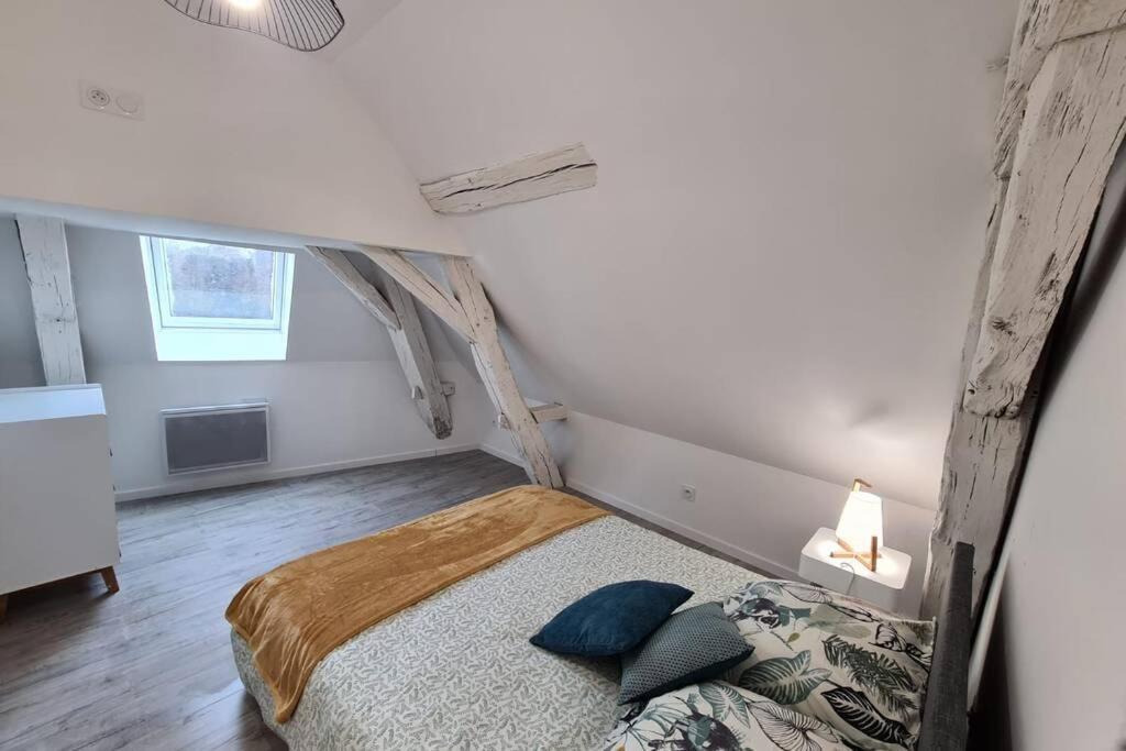 Centre Ville 3 Pieces Envoutant Sous Combles 40M² Жуаньи Экстерьер фото